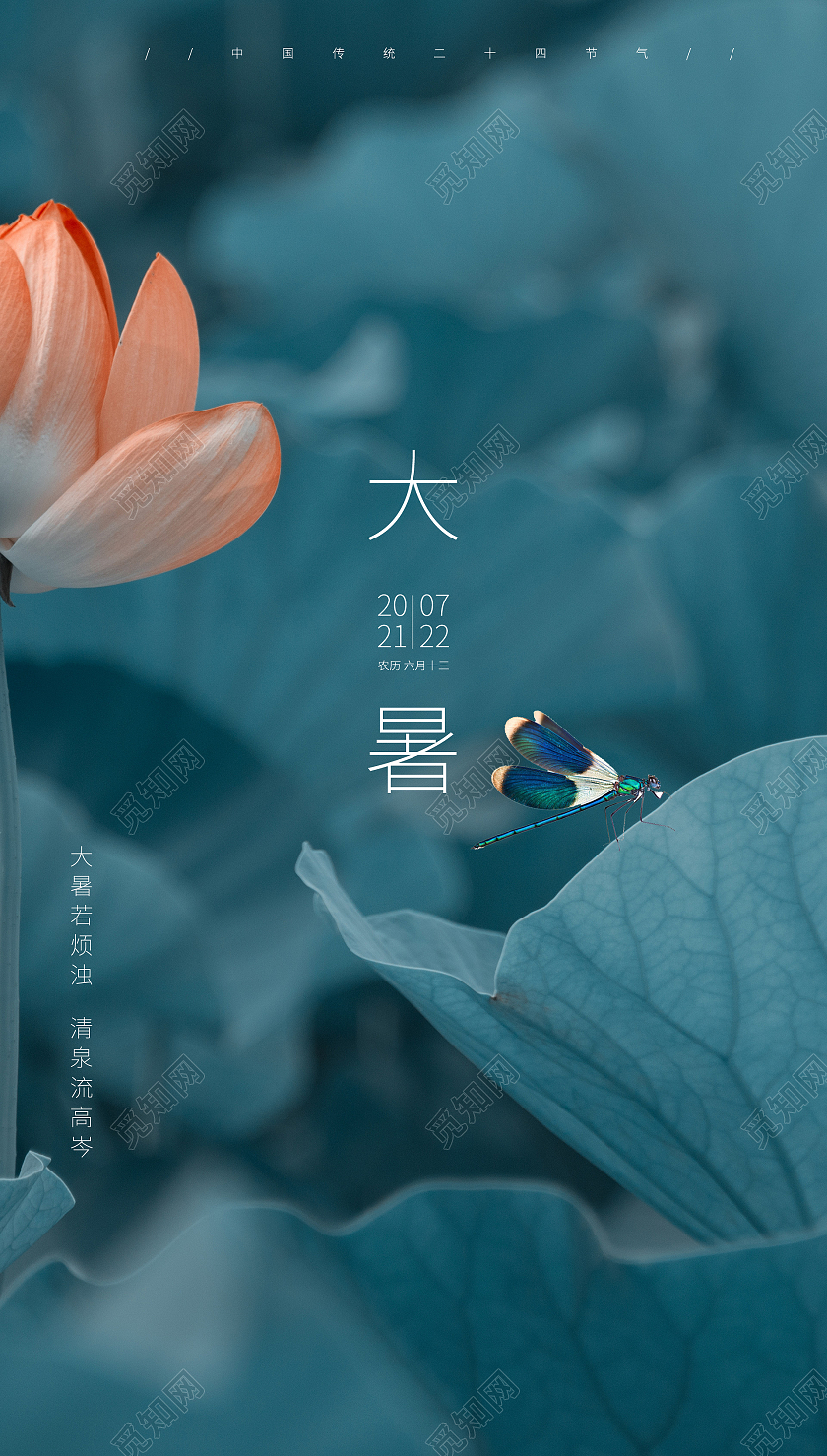 二十四节气  大暑二十四节气24节气大暑ui手机海报