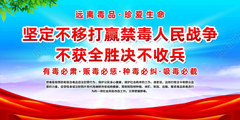 蓝色简约坚定不移打赢禁毒人民战争国际禁毒日展板