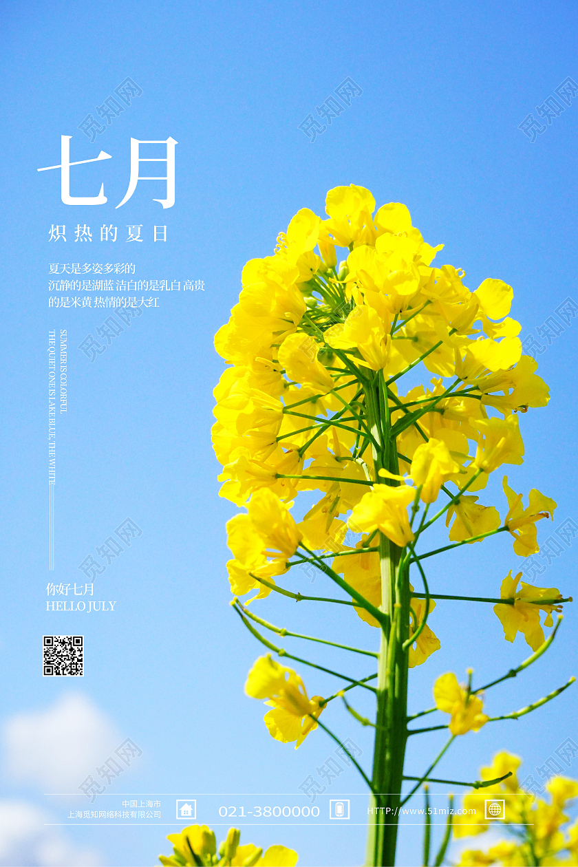 蓝色简约七月七月你好海报