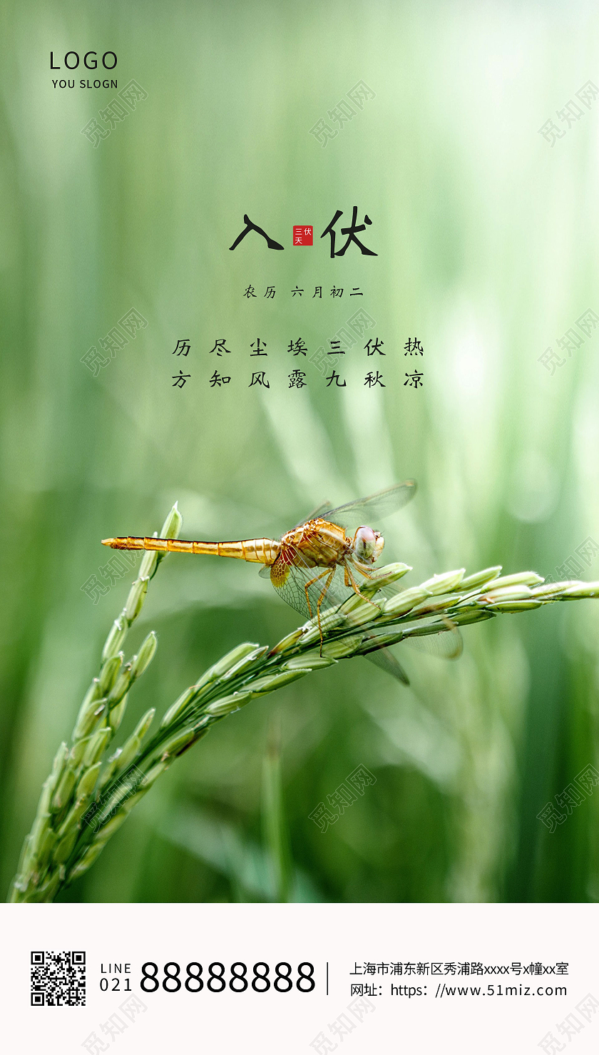 绿色清新大气蜻蜓三伏天入伏海报ui三伏天入伏ui手机海报