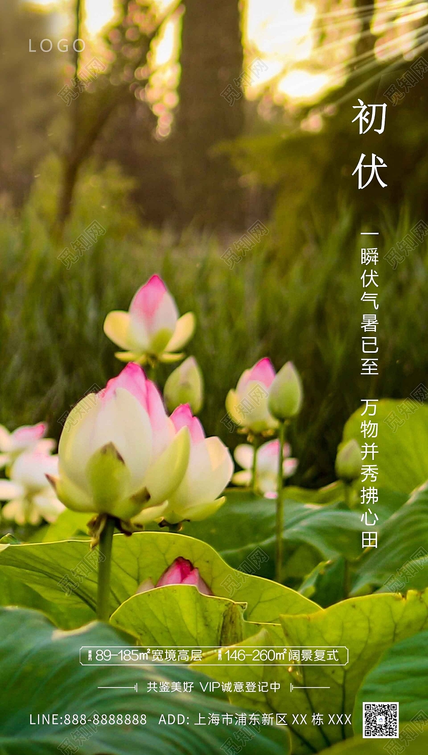 绿色自然荷花大气创意入伏海报三伏天初伏头伏ui手机海报