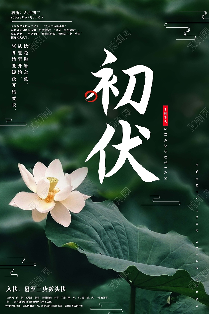 墨绿色荷花初伏宣传海报三伏天初伏头伏