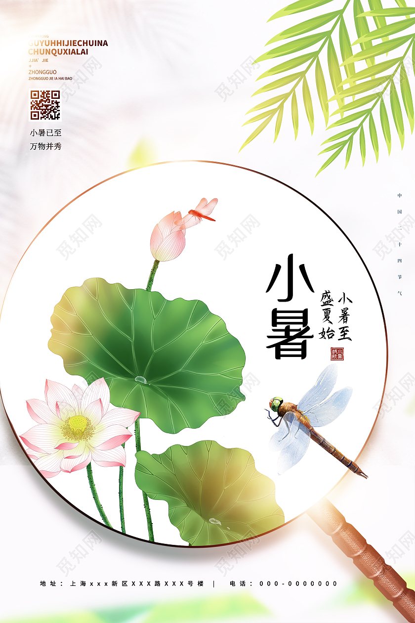 白色插画小暑24二十四节气海报