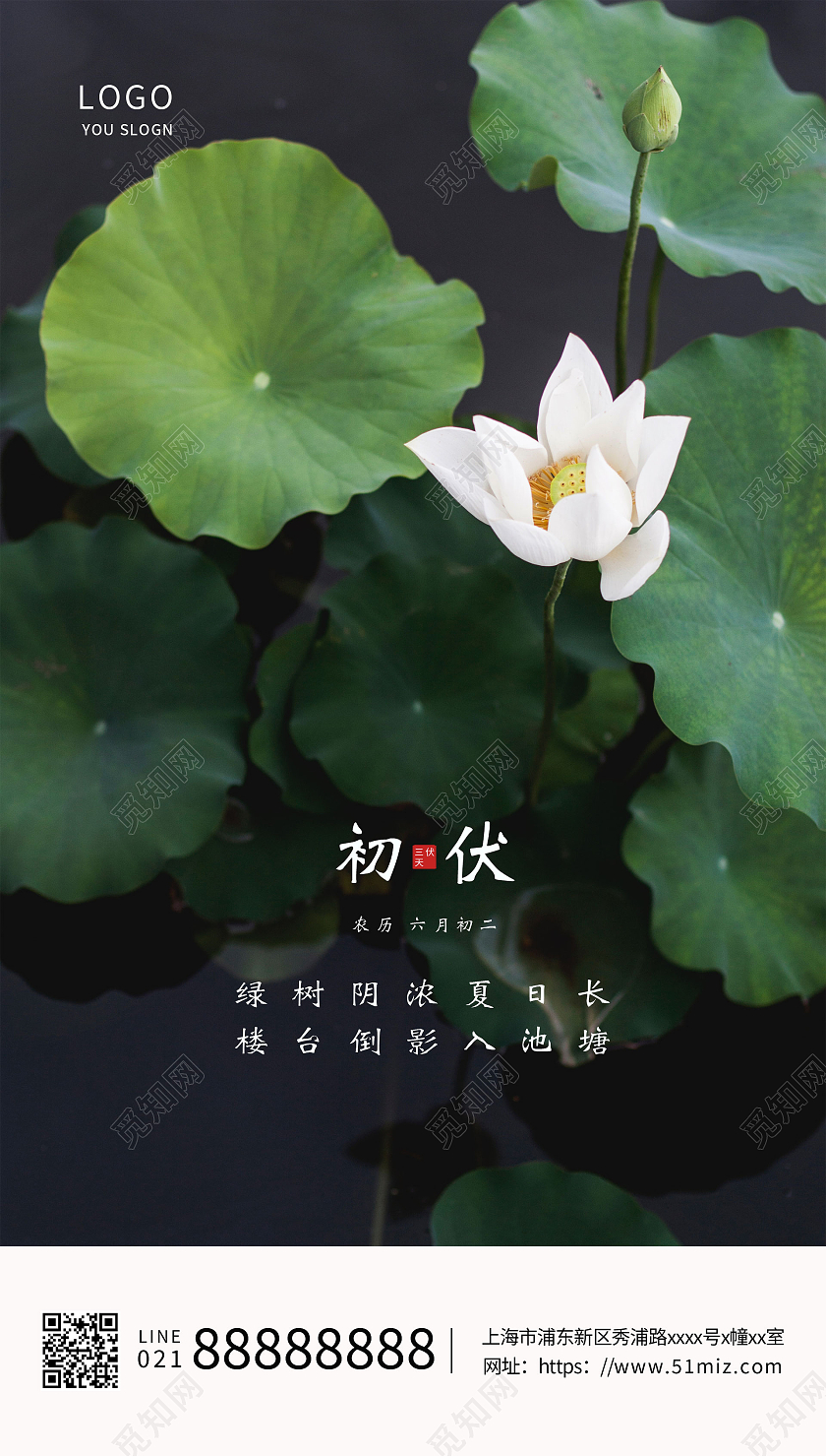 实拍简约荷花荷叶三伏天初伏海报ui三伏天初伏头伏ui手机海报