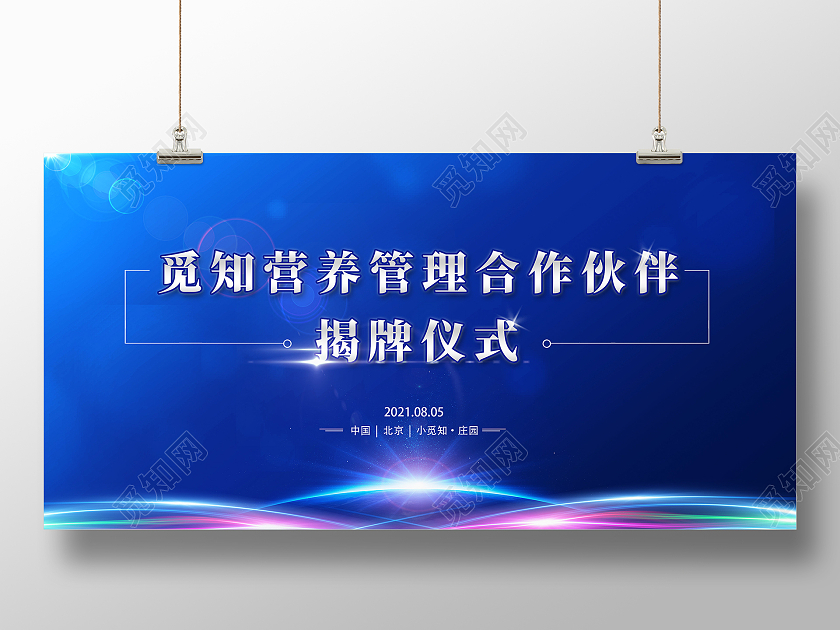 蓝色简约营养管理合作伙伴揭牌仪式展板