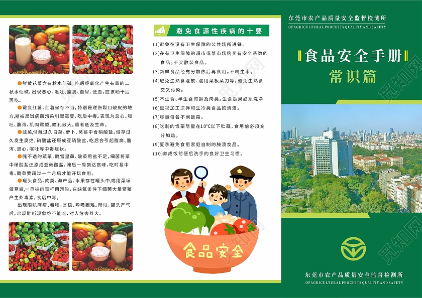 城市绿色食品有机蔬菜食品安全知识宣传折页食品安全手册