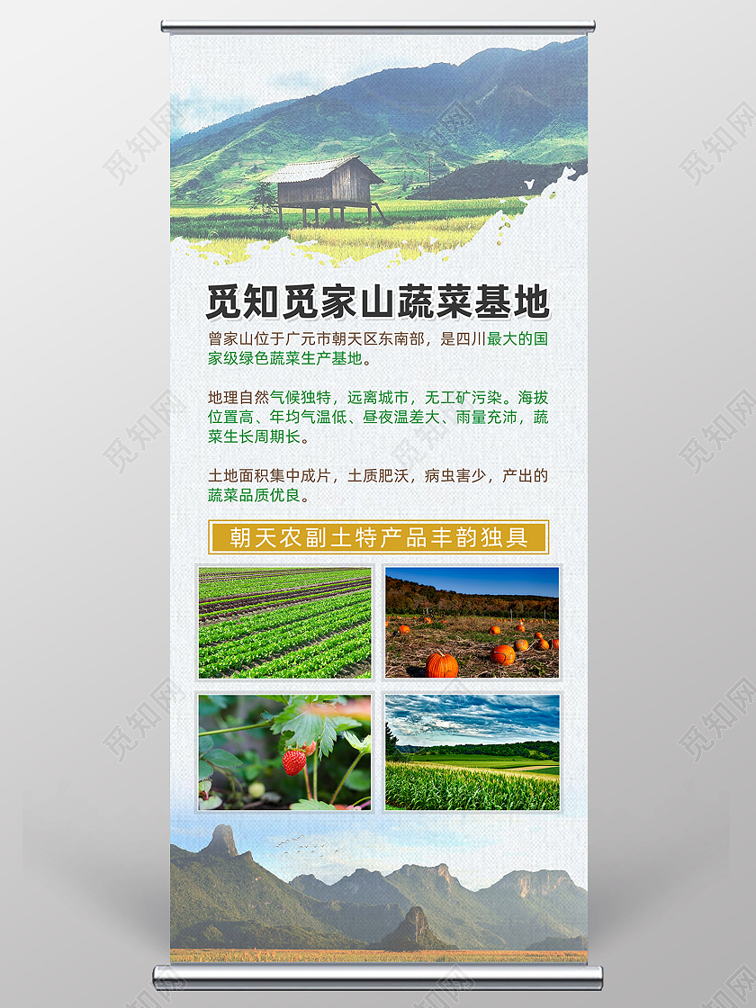 绿色简约蔬菜基地蔬菜易拉宝蔬菜展架