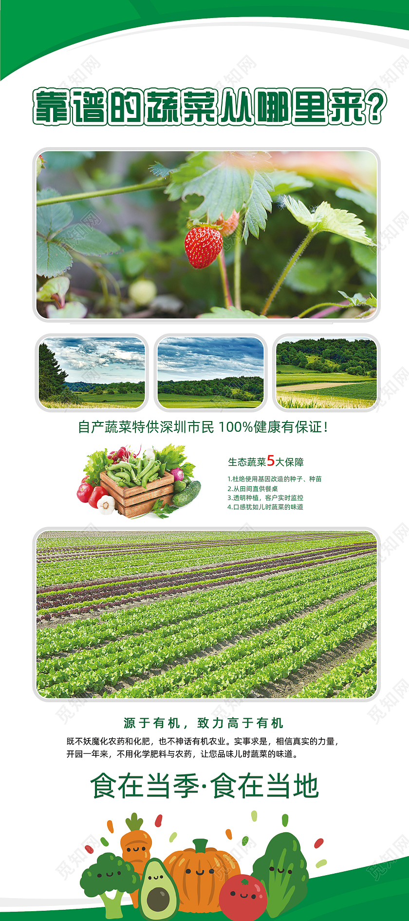绿色简约靠谱的蔬菜从哪里来蔬菜易拉宝蔬菜展架