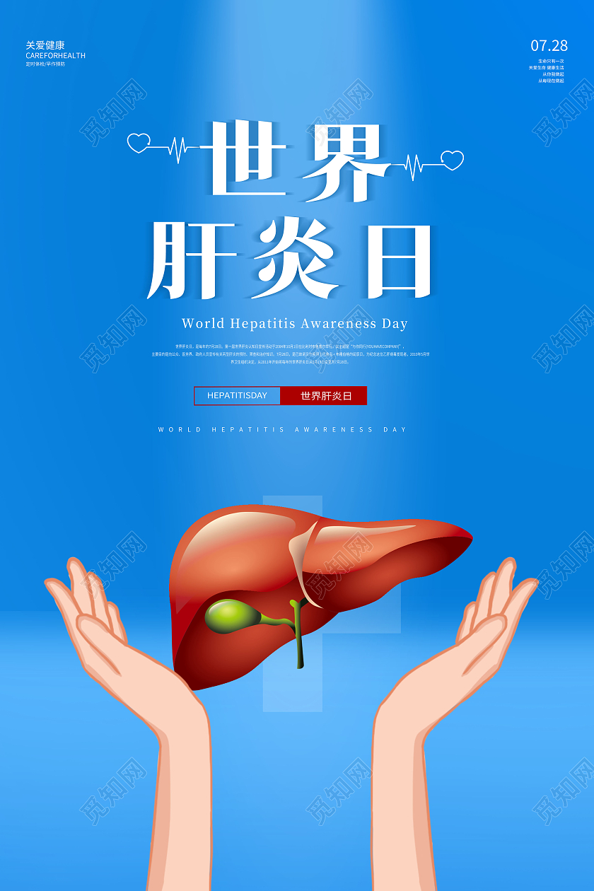 2021世界肝炎日预防肝炎宣传海报