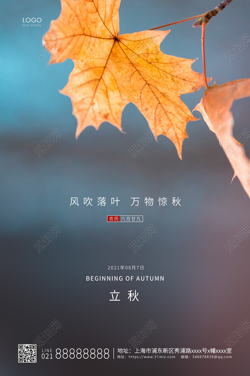 实拍简约二十四节气立秋节气宣传海报
