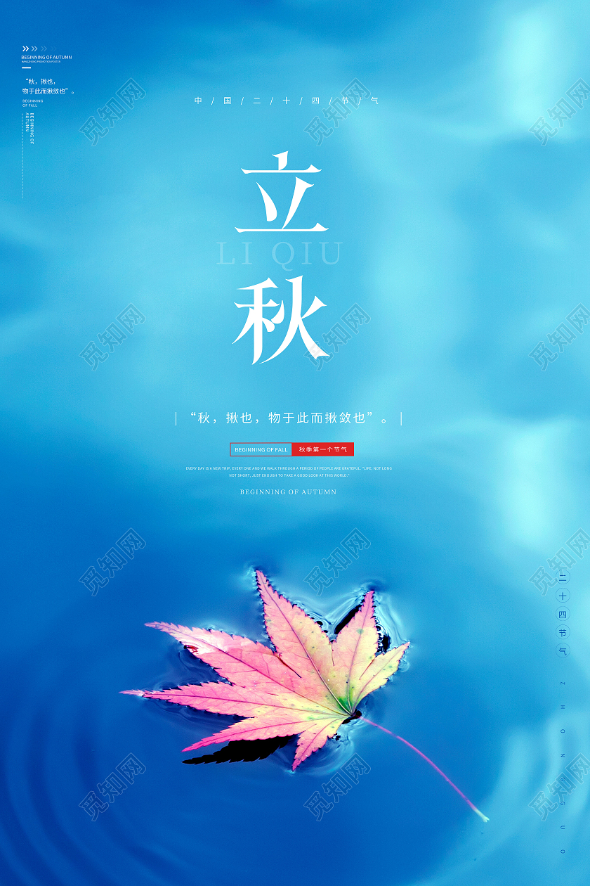 创意简约二十四节气立秋宣传海报设计二十四节气24节气立秋
