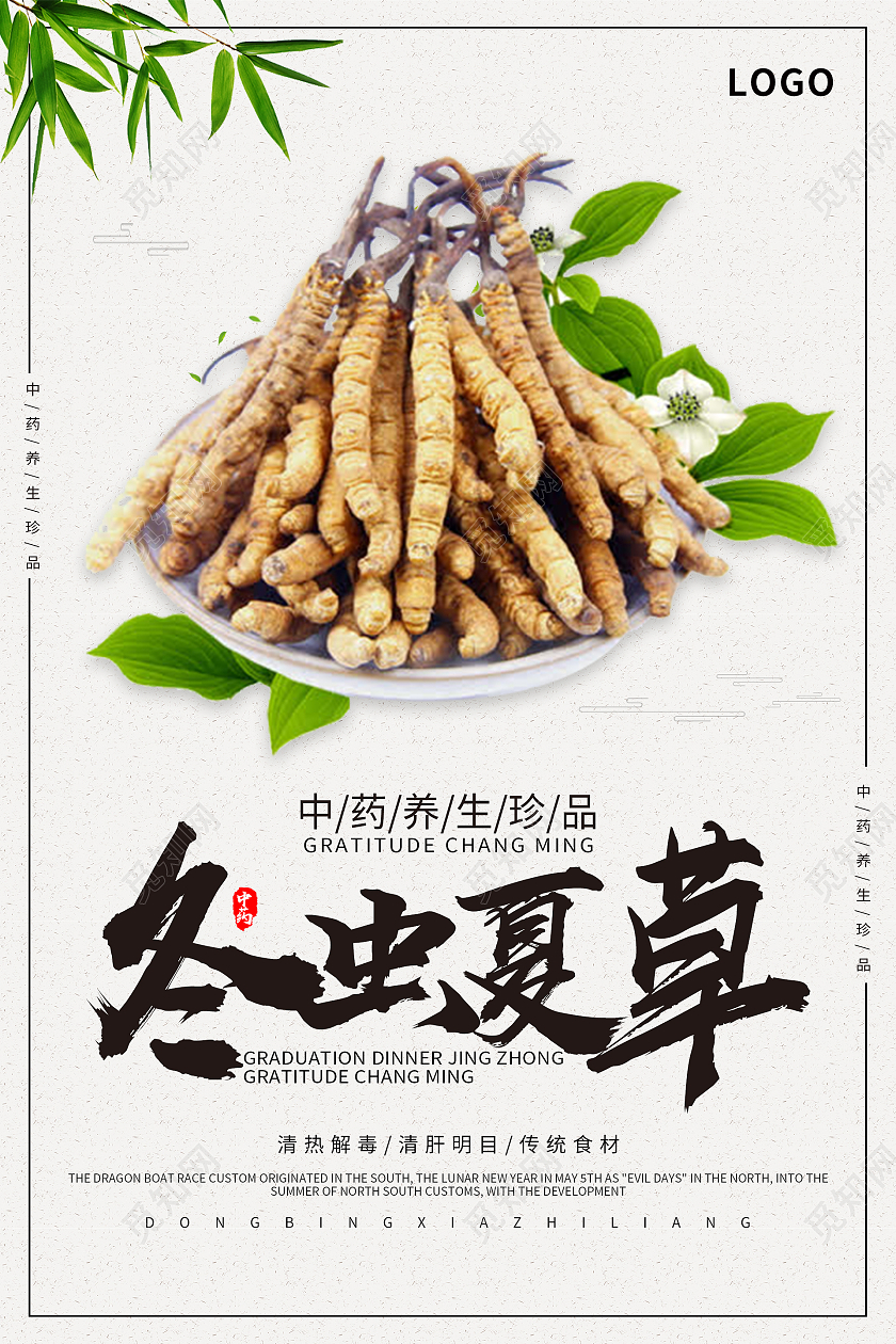 大气中国风冬虫夏草中药药品海报
