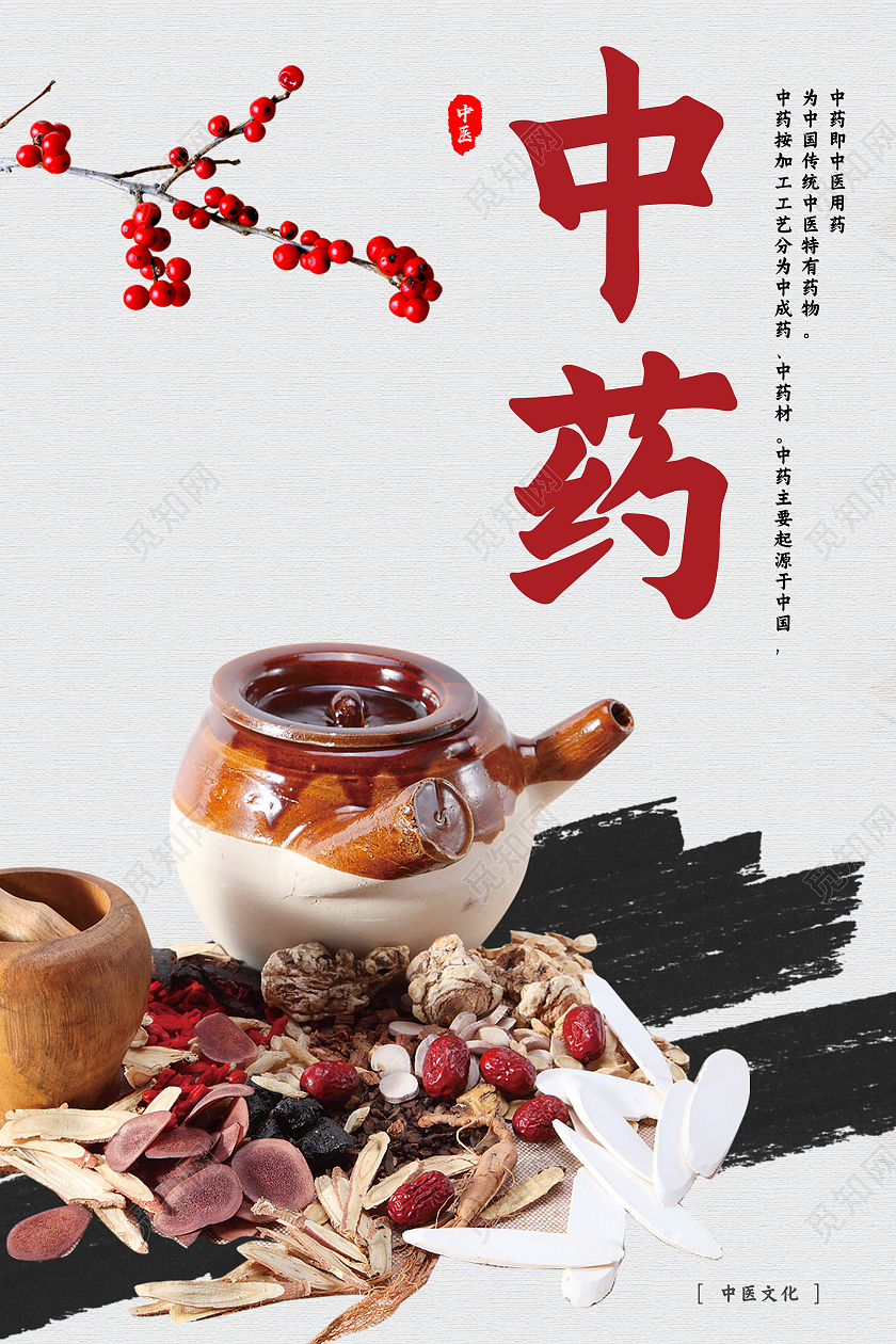 简约中国风中药药品海报