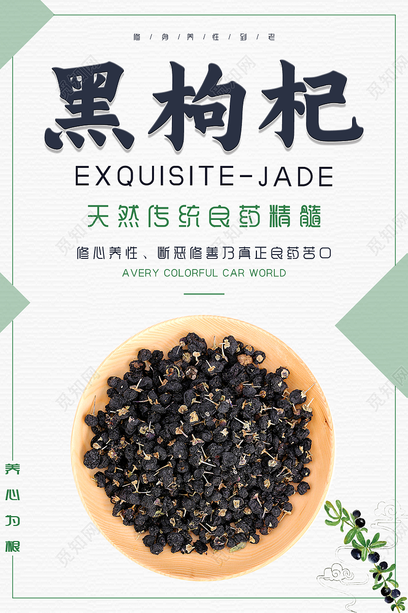 简约清新创意黑枸杞中药药品海报