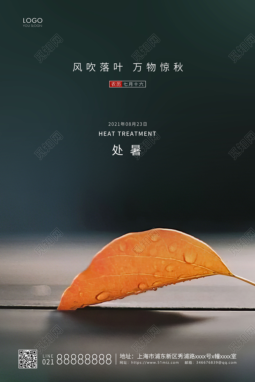 实拍简约二十四节气处暑节气宣传海报