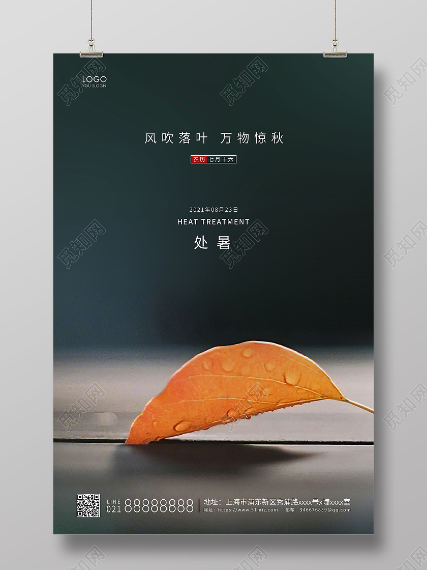 实拍简约二十四节气处暑节气宣传海报