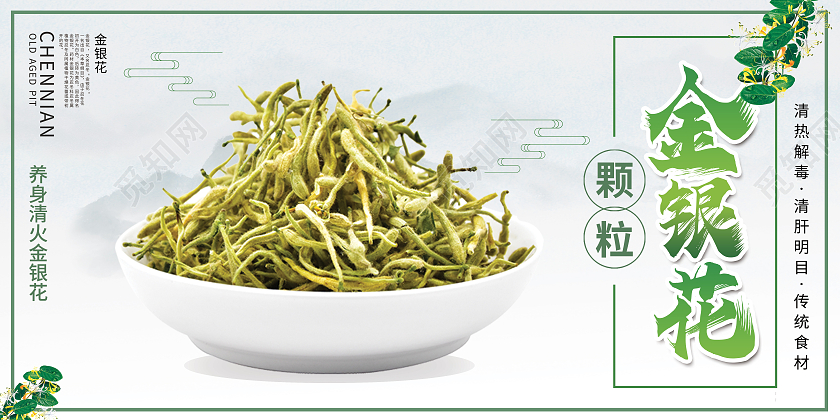 白色简约金银花药材药品医药展板宣传