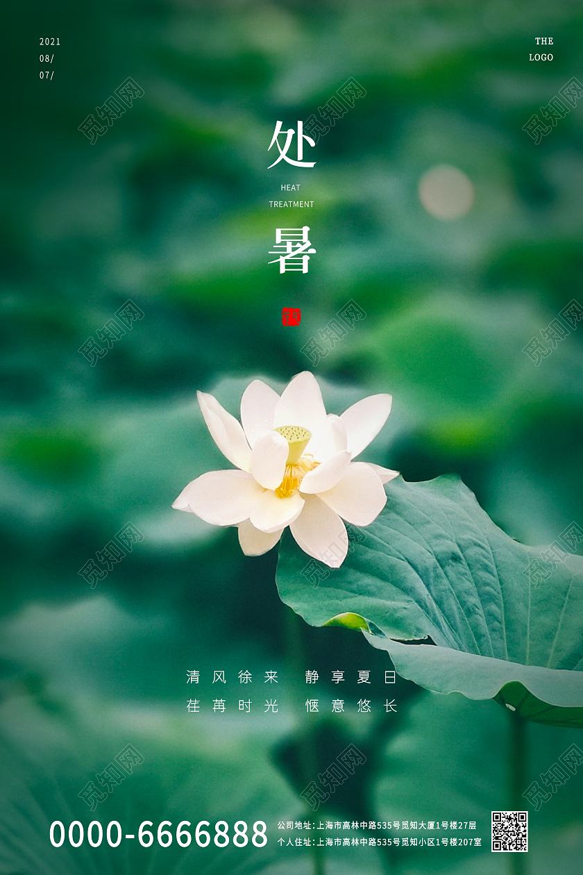 绿色小清新荷叶荷花处暑节气中国传统节气宣传海报