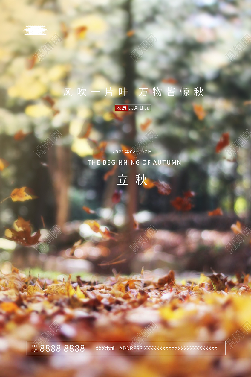 简约二十四节气立秋宣传海报设计二十四节气24节气立秋二十四节气24节气房地产立秋