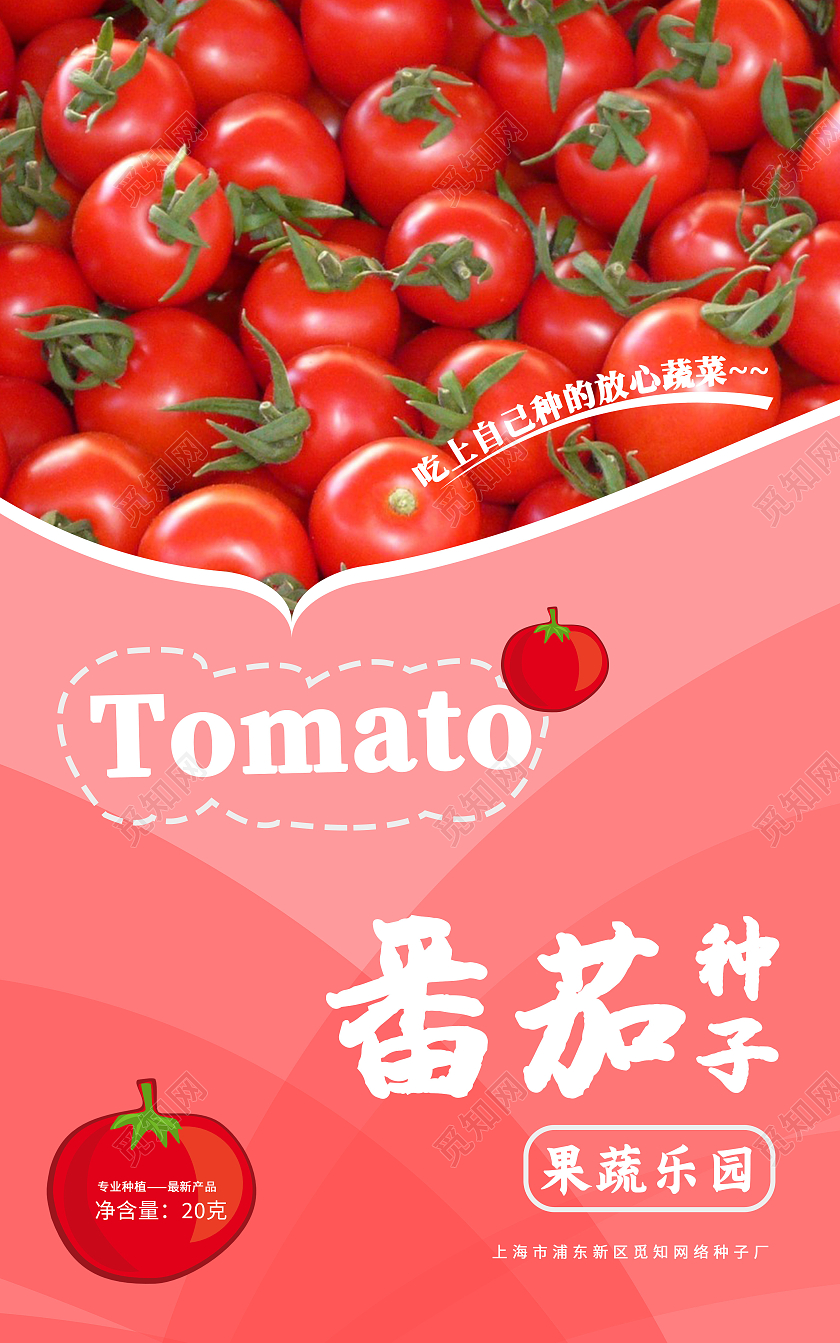 红色简约番茄种子蔬菜包装