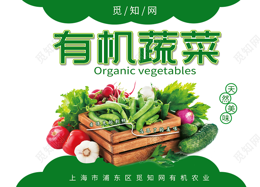 绿色简约大气有机蔬菜绿色蔬菜包装