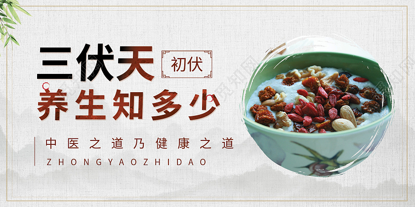 白色中国风古风三伏天养生入伏夏季展板宣传