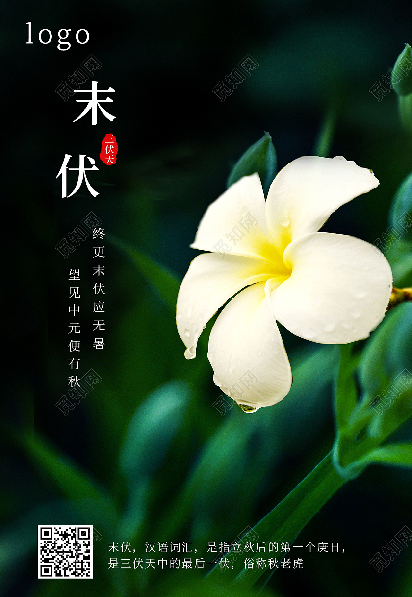 墨绿色花三伏天末伏暑天海报