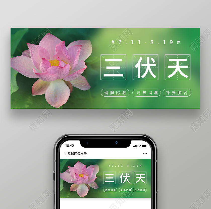 绿色荷花三伏天初伏养生入伏夏季手机微信公众号宣传