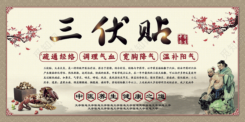 传统中国风中医三伏贴中医养生海报