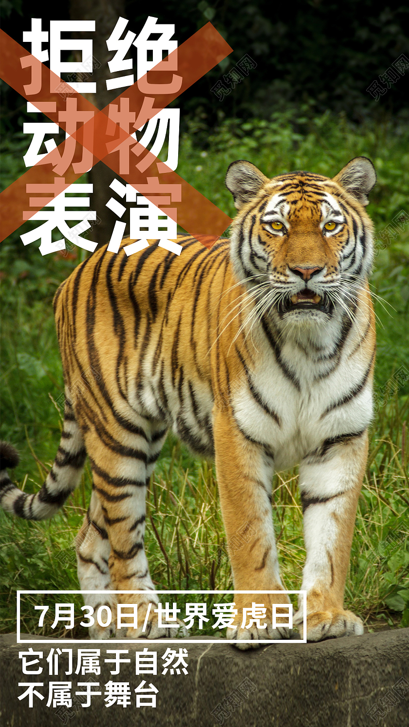 绿色简约拒绝动物表演世界爱虎日手机海报