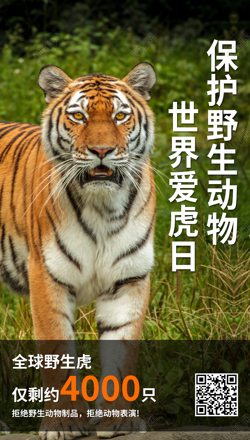 简约清新大气保护野生动物世界爱虎日手机UI海报