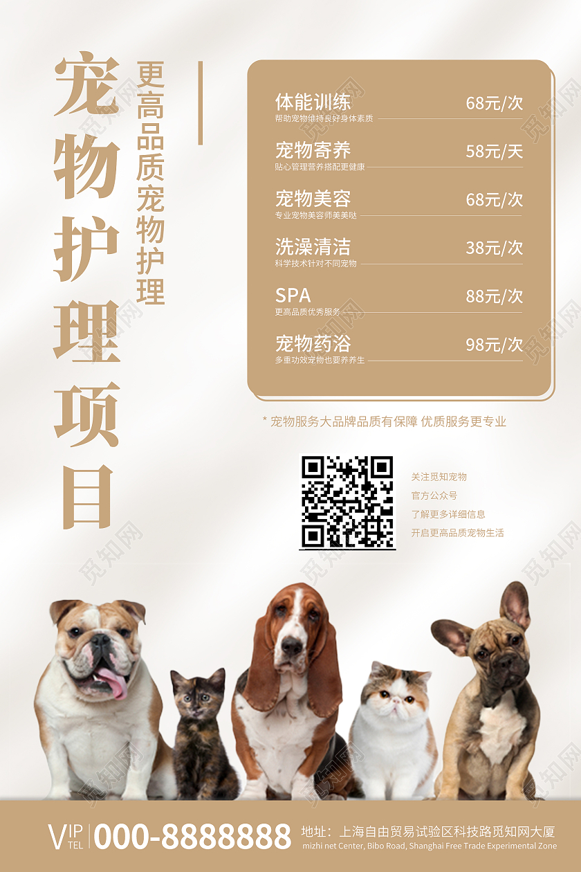 金色简约大气卡通宠物护理活动海报