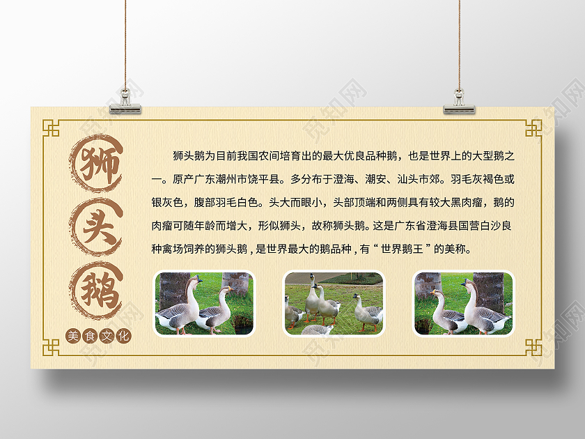 黄色简约狮头鹅大额美食介绍展板