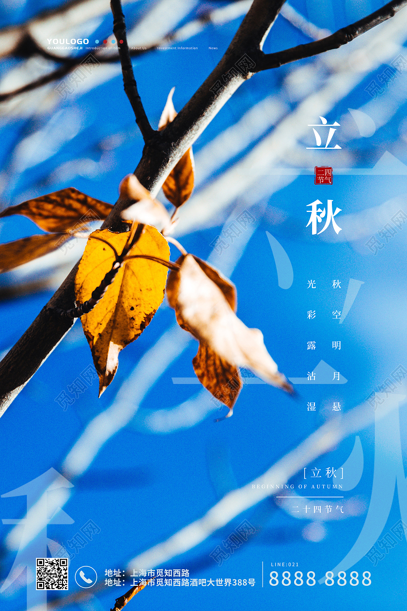 蓝色简约风二十四节气立秋艺术海报二十四节气24节气立秋