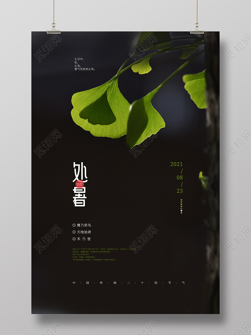 黑色创意摄影风处暑传统节气海报
