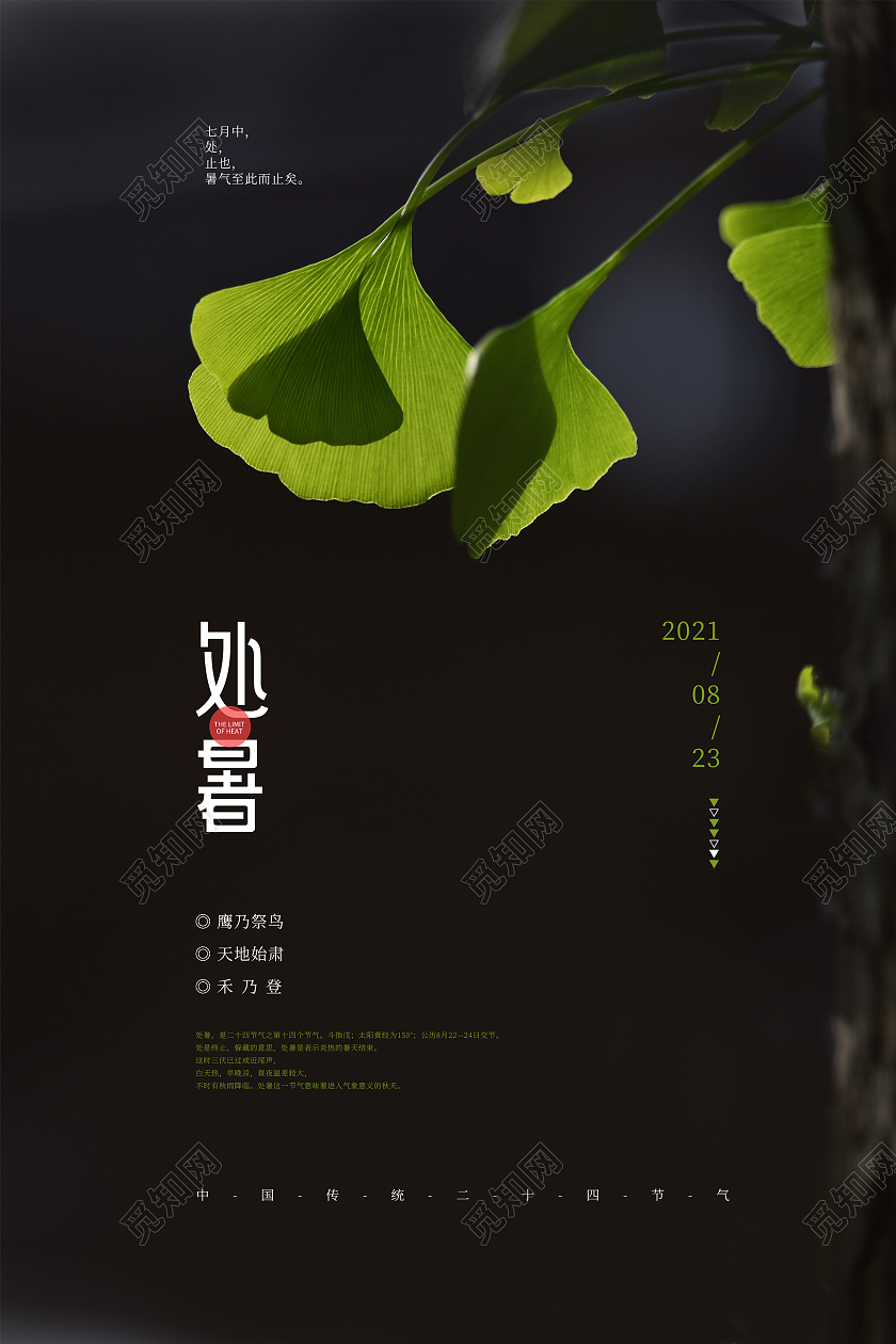 黑色创意摄影风处暑传统节气海报