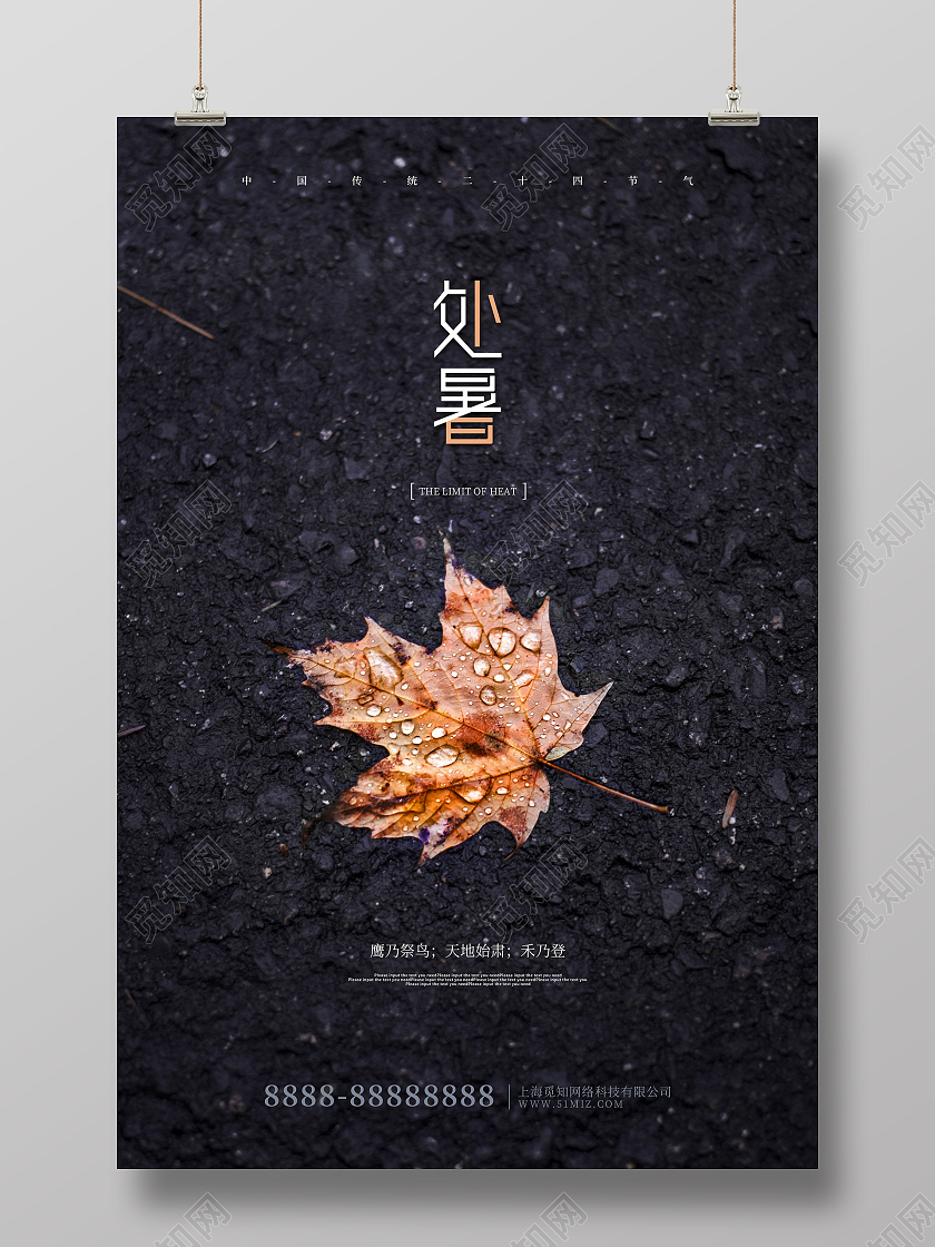 黑色创意摄影风处暑传统节气海报