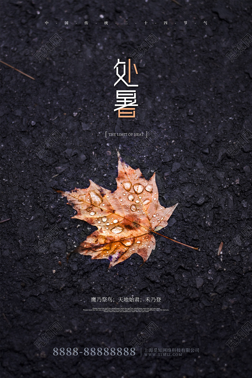 黑色创意摄影风处暑传统节气海报