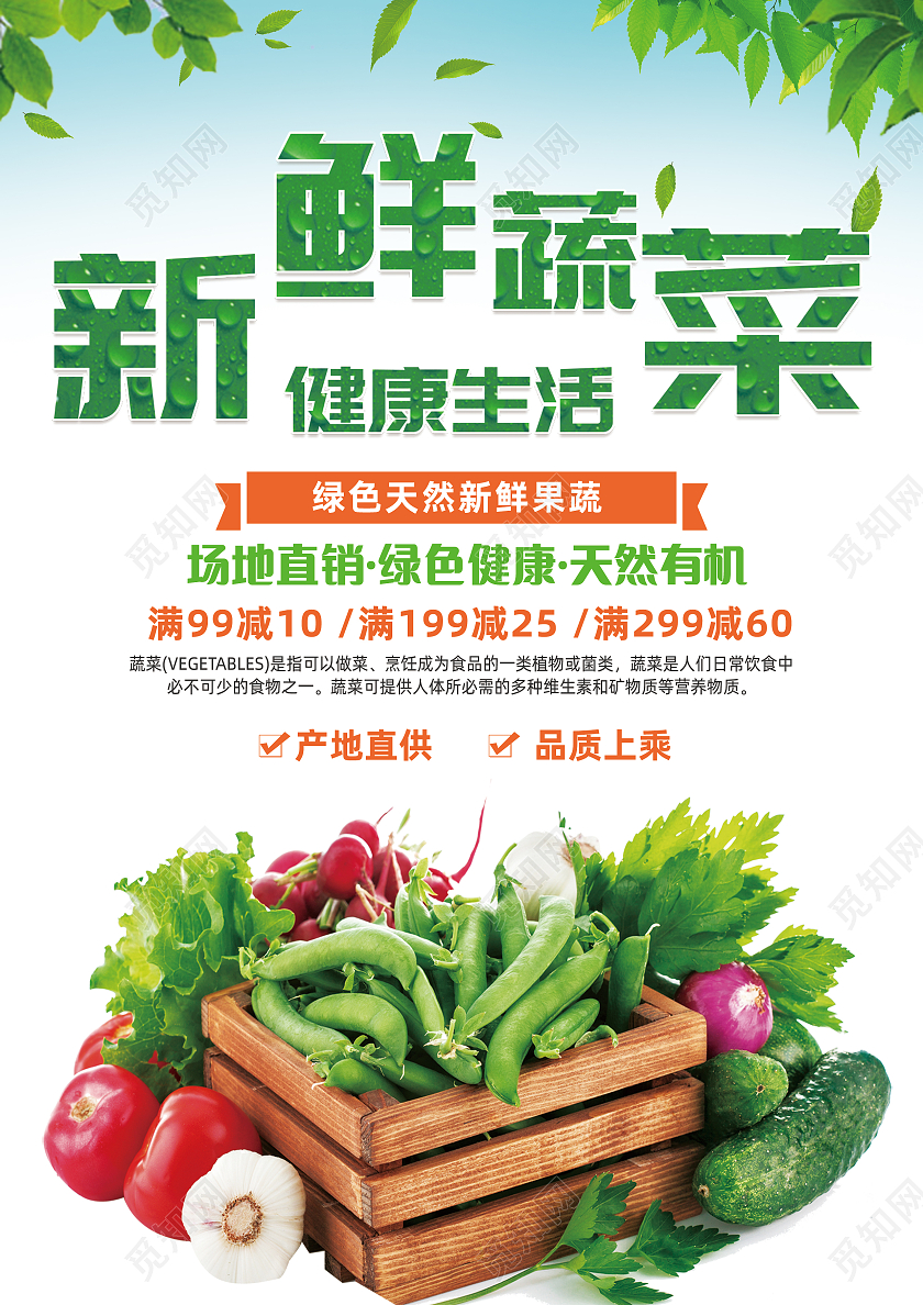 绿色简约大气干净新鲜蔬菜新鲜果蔬绿色蔬菜有机蔬菜宣传单