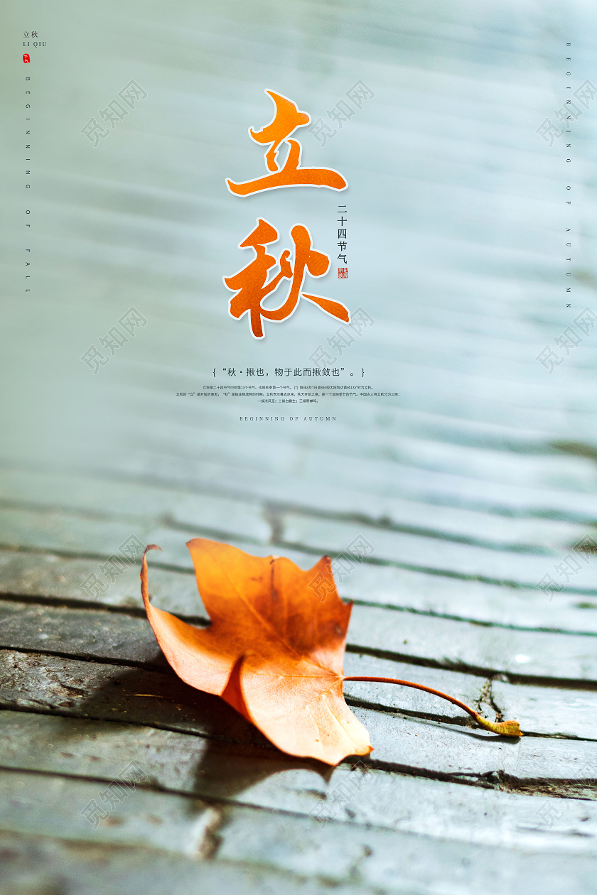 简约枫叶二十四节气立秋宣传海报二十四节气24节气立秋