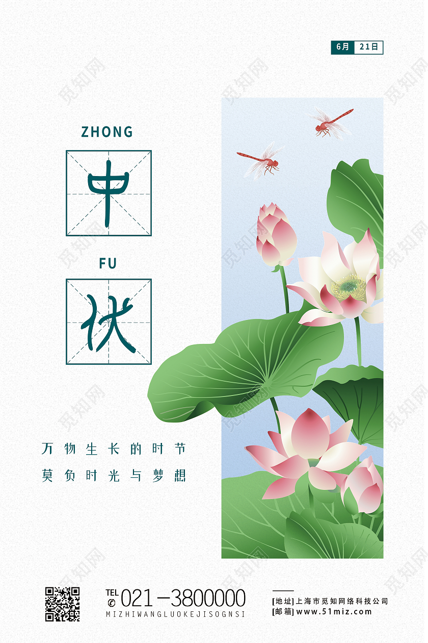 白色简约三伏天荷花传统节气中伏海报