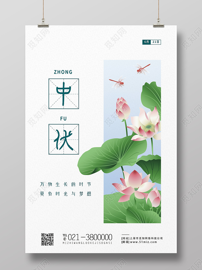 白色简约三伏天荷花传统节气中伏海报