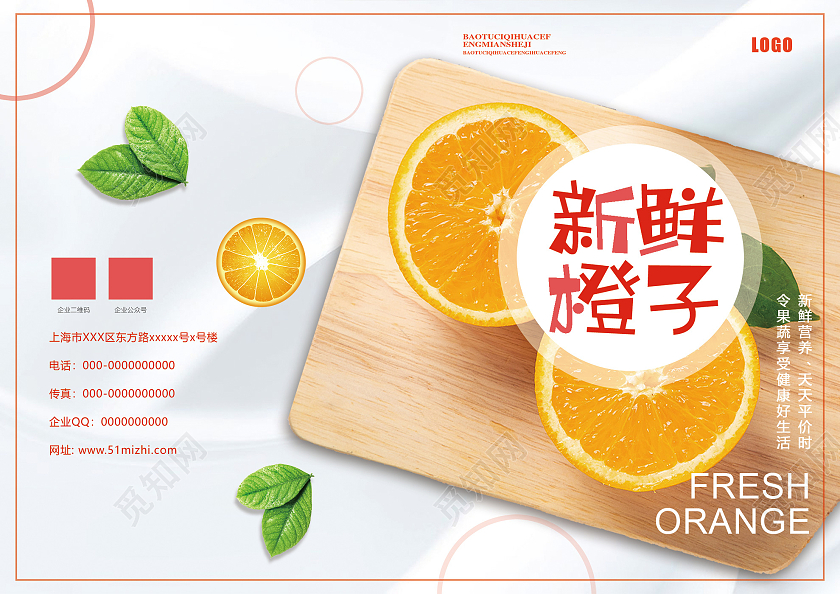 灰色简洁新鲜橙子水果宣传画册封面美食画册