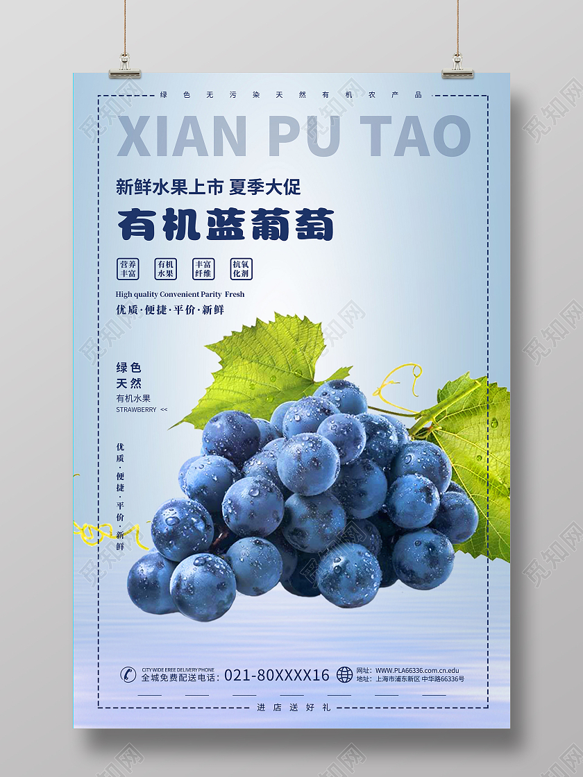 简约大气蓝色系有机蓝葡萄水果促销海报