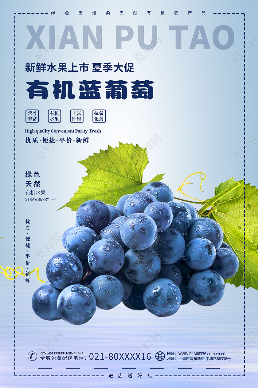简约大气蓝色系有机蓝葡萄水果促销海报