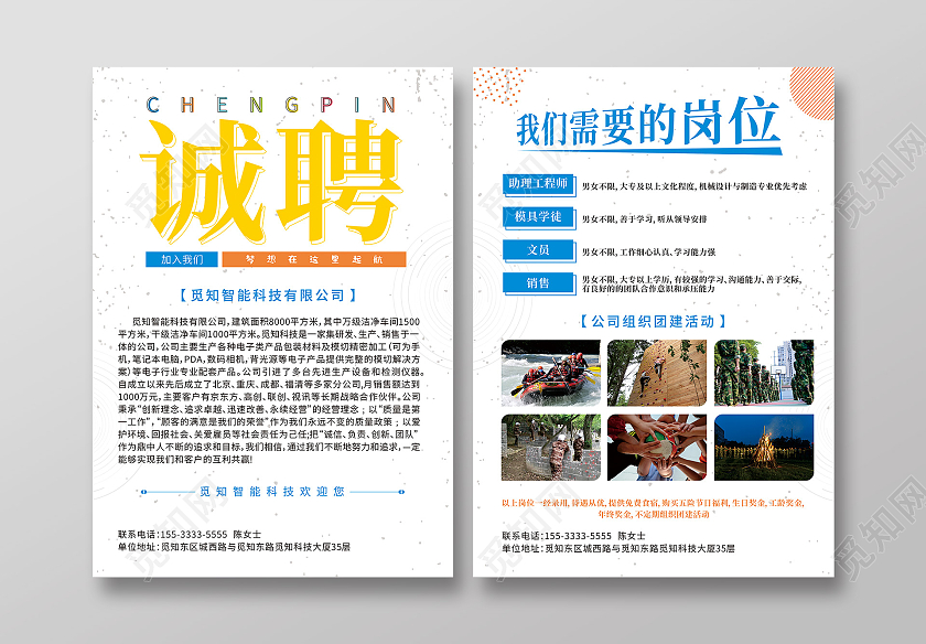 简约大气科技智能公司梦想起航诚聘人才宣传单页公司招聘