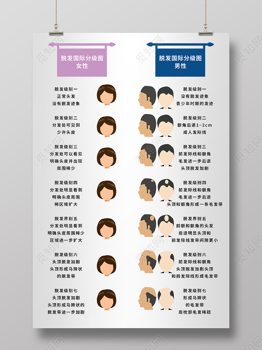 简约大气灰色系脱发国际分级图男女性海报宣传海报植发