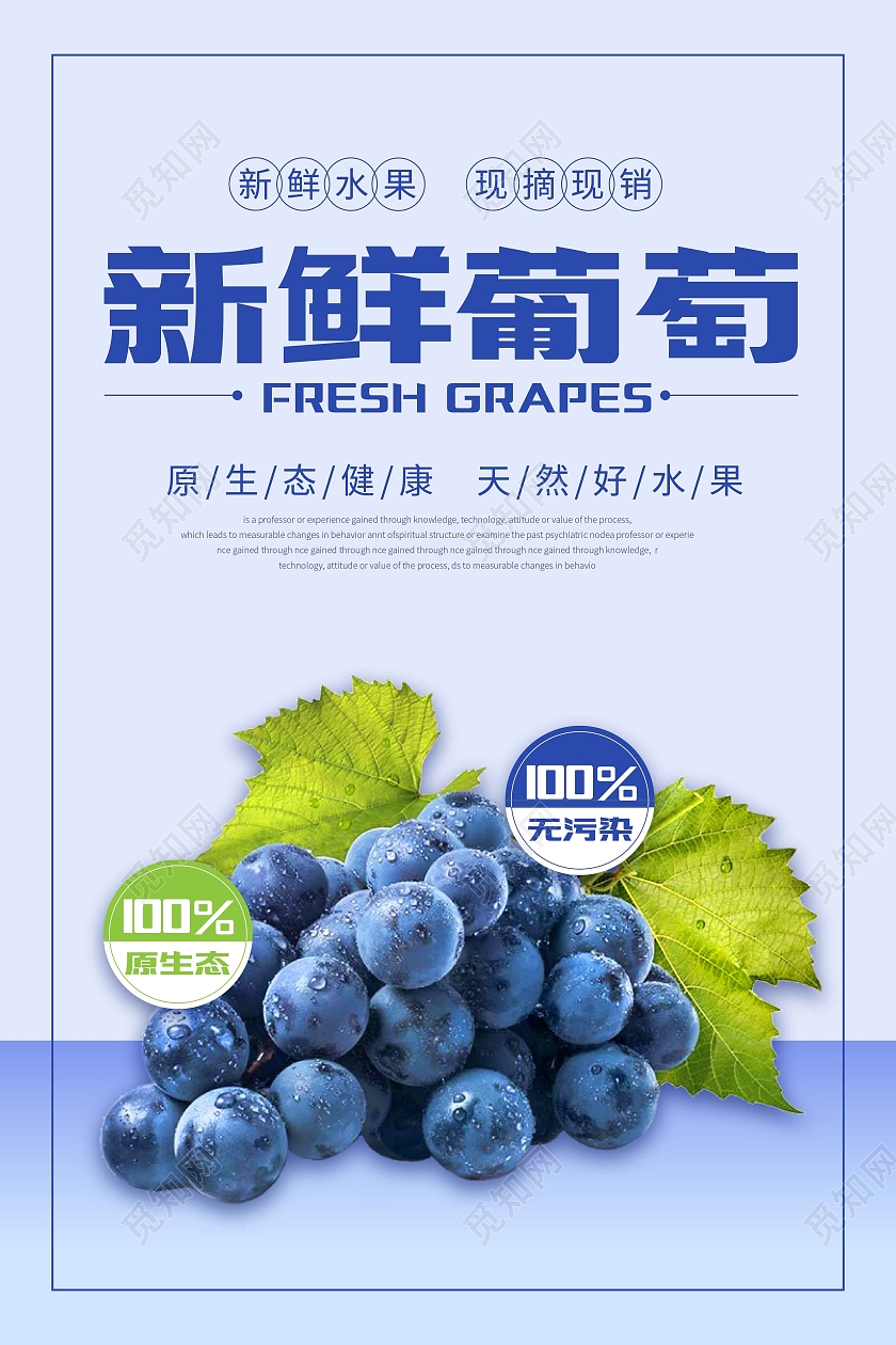 蓝紫色简约新鲜葡萄广告宣传海报水果