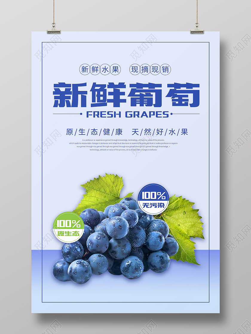 蓝紫色简约新鲜葡萄广告宣传海报水果