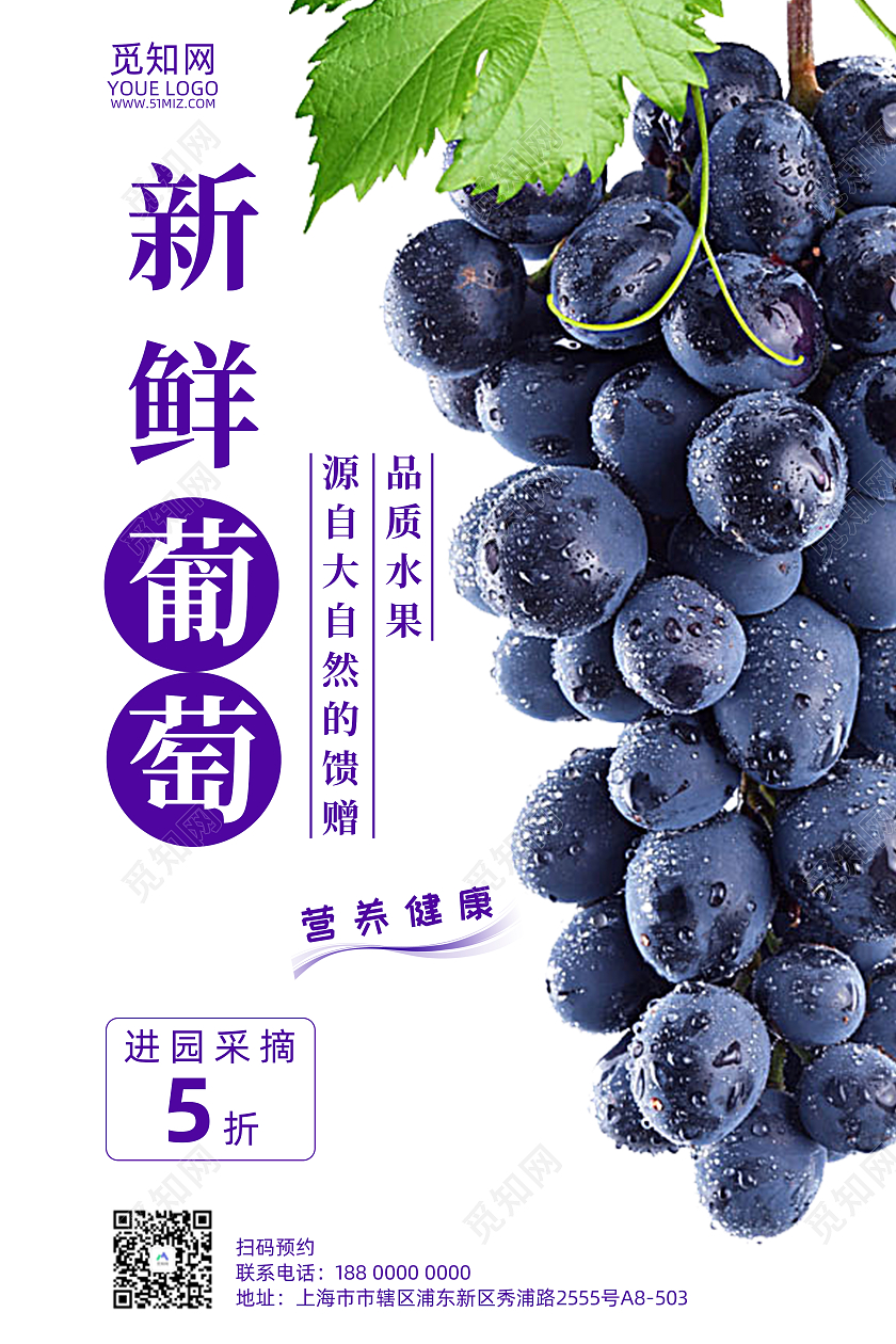 紫色清新新鲜葡萄水果采摘宣传海报